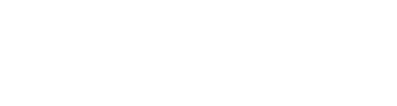 Risk Averse Insurance - Logo 800 White